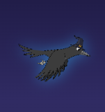 Bird Mystery